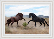 Load image into Gallery viewer, War Dance