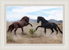 Load image into Gallery viewer, War Dance