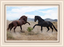 Load image into Gallery viewer, War Dance