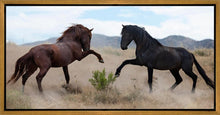 Load image into Gallery viewer, War Dance
