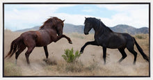 Load image into Gallery viewer, War Dance