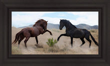 Load image into Gallery viewer, War Dance