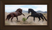 Load image into Gallery viewer, War Dance