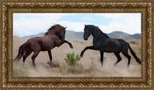 Load image into Gallery viewer, War Dance