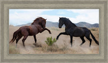 Load image into Gallery viewer, War Dance