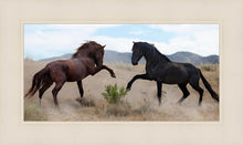 Load image into Gallery viewer, War Dance