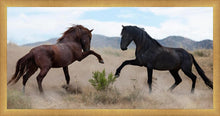 Load image into Gallery viewer, War Dance