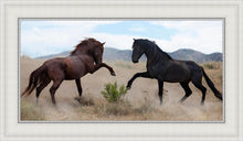 Load image into Gallery viewer, War Dance