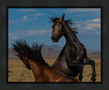 Load image into Gallery viewer, Winner Takes All