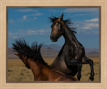 Load image into Gallery viewer, Winner Takes All