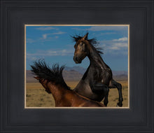 Load image into Gallery viewer, Winner Takes All