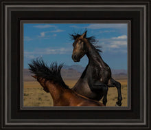 Load image into Gallery viewer, Winner Takes All