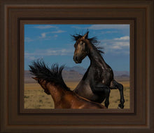 Load image into Gallery viewer, Winner Takes All
