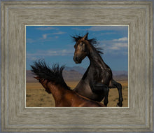 Load image into Gallery viewer, Winner Takes All