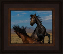 Load image into Gallery viewer, Winner Takes All