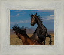 Load image into Gallery viewer, Winner Takes All