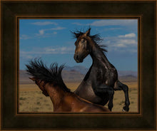Load image into Gallery viewer, Winner Takes All