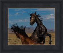 Load image into Gallery viewer, Winner Takes All