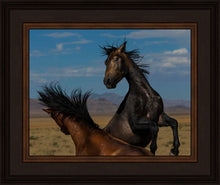 Load image into Gallery viewer, Winner Takes All
