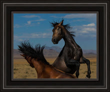 Load image into Gallery viewer, Winner Takes All