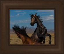 Load image into Gallery viewer, Winner Takes All