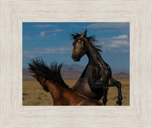 Load image into Gallery viewer, Winner Takes All