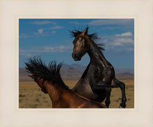 Load image into Gallery viewer, Winner Takes All