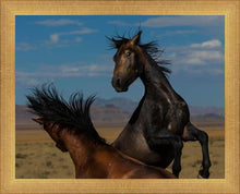 Load image into Gallery viewer, Winner Takes All