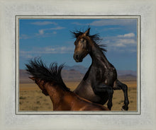Load image into Gallery viewer, Winner Takes All