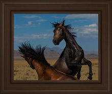 Load image into Gallery viewer, Winner Takes All