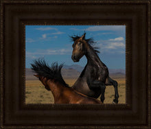 Load image into Gallery viewer, Winner Takes All