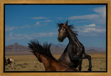 Load image into Gallery viewer, Winner Takes All