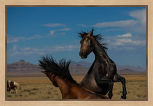 Load image into Gallery viewer, Winner Takes All