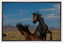 Load image into Gallery viewer, Winner Takes All