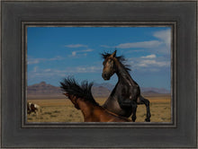 Load image into Gallery viewer, Winner Takes All
