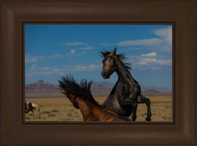 Load image into Gallery viewer, Winner Takes All