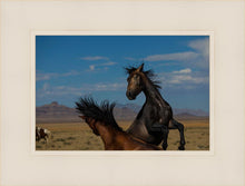 Load image into Gallery viewer, Winner Takes All