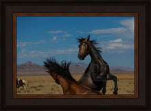 Load image into Gallery viewer, Winner Takes All
