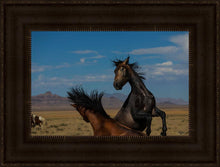Load image into Gallery viewer, Winner Takes All