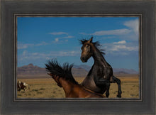 Load image into Gallery viewer, Winner Takes All