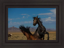 Load image into Gallery viewer, Winner Takes All