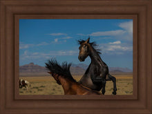 Load image into Gallery viewer, Winner Takes All