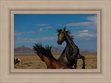 Load image into Gallery viewer, Winner Takes All
