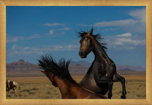 Load image into Gallery viewer, Winner Takes All