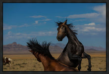Load image into Gallery viewer, Winner Takes All