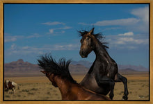Load image into Gallery viewer, Winner Takes All