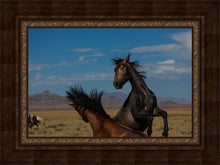 Load image into Gallery viewer, Winner Takes All