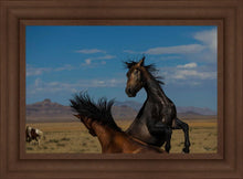 Load image into Gallery viewer, Winner Takes All