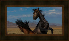Load image into Gallery viewer, Winner Takes All