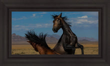 Load image into Gallery viewer, Winner Takes All